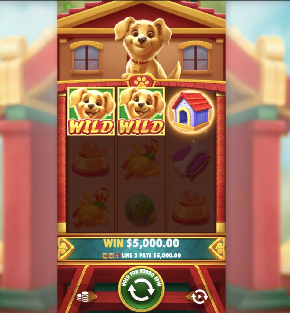 Cachorro Sortudo huge slot win