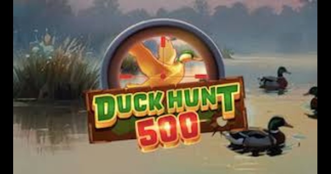 Duck Hunt 500