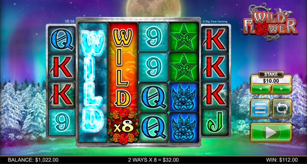 Wild Flower bonus feature gameplay