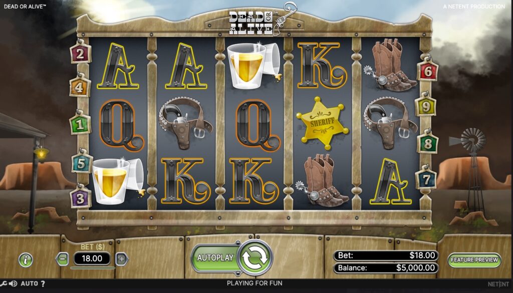 Dead or Alive slot gameplay