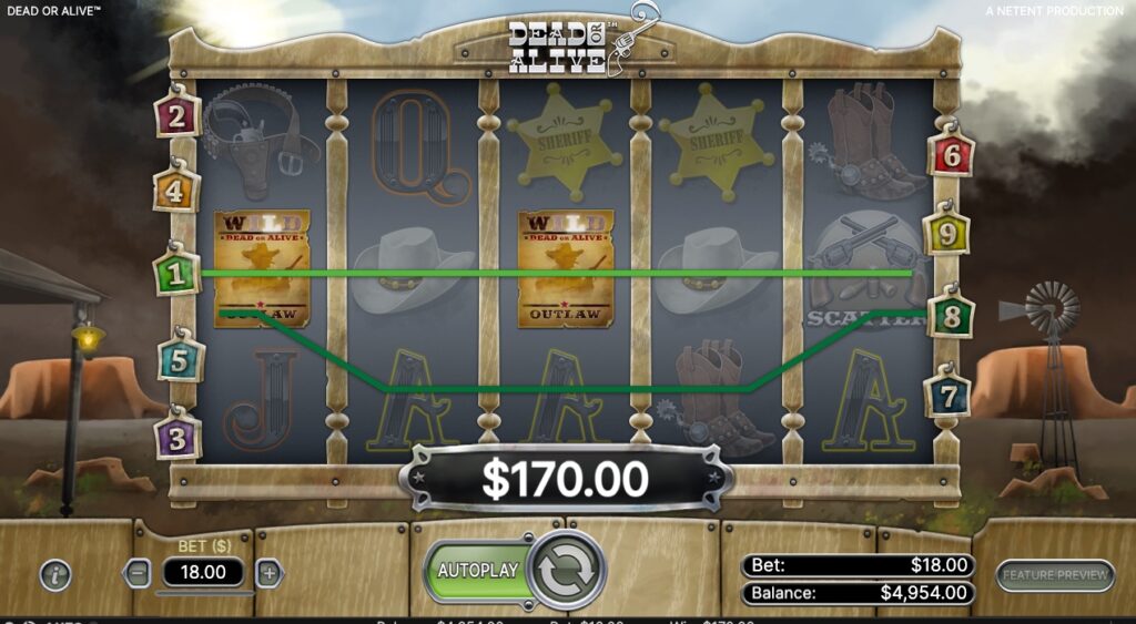 Dead or Alive slot bonus feature gameplay