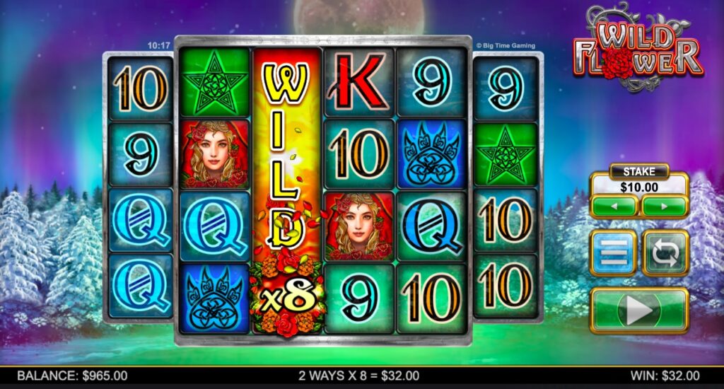 Wild Flower paylines and features