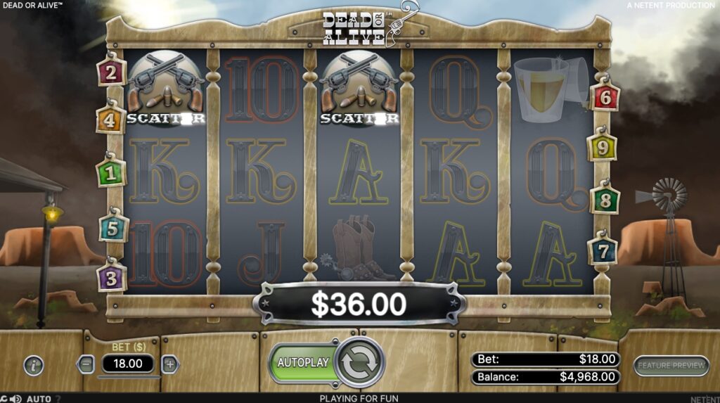 Dead or Alive huge slot win