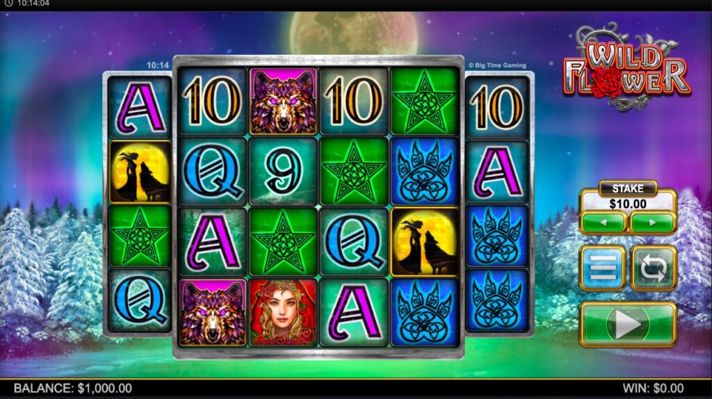 Wild Flower slot gameplay