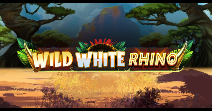 Wild White Rhino