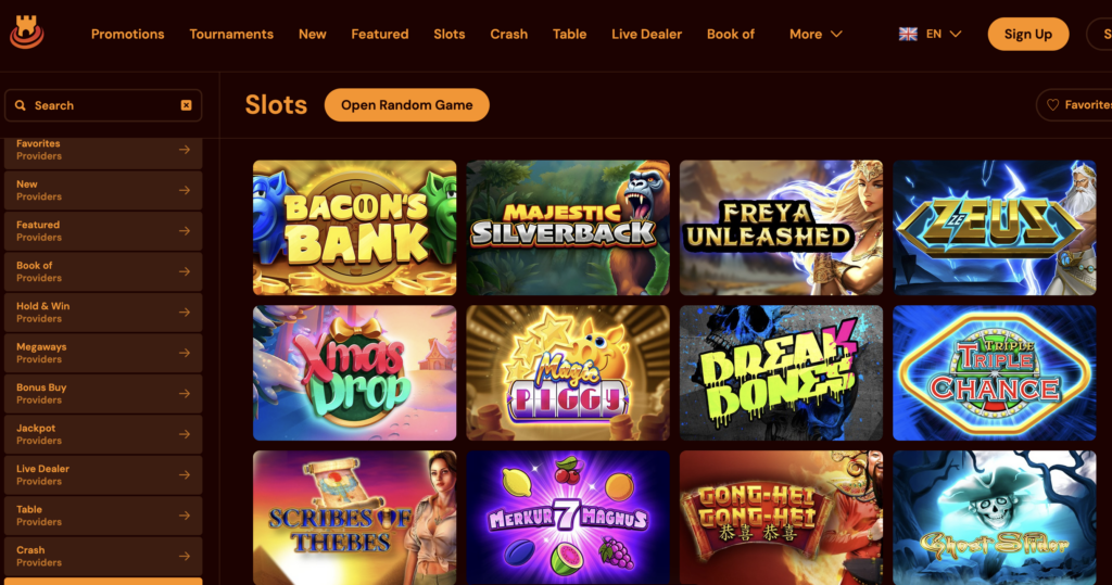 slots on offer at spins castle