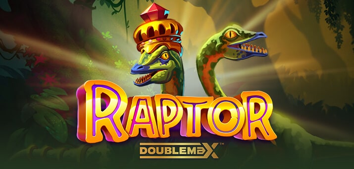 Raptor DoubleMax