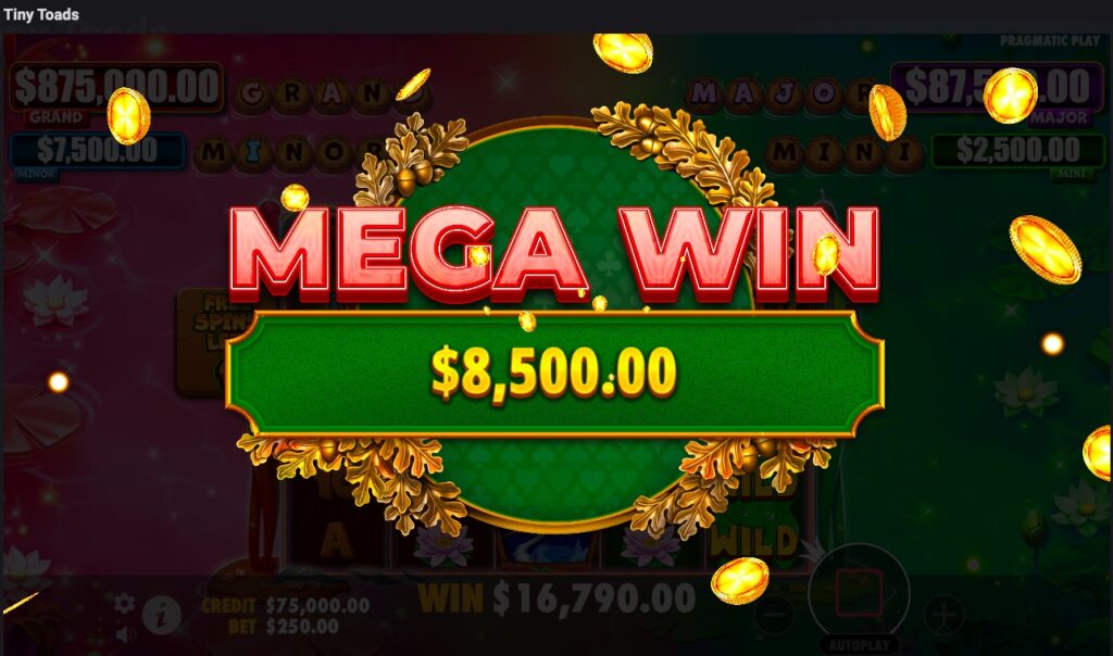 Tiny Toads mega win