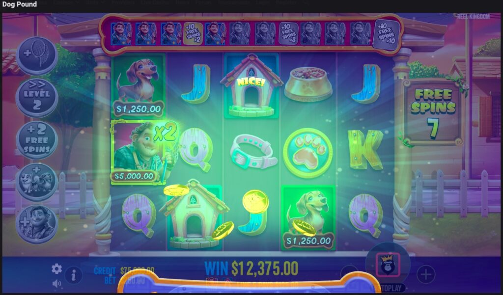 Dog Pound huge slot win