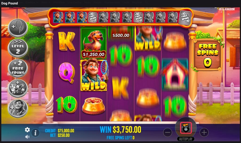 Dog Pound slot paylines and features