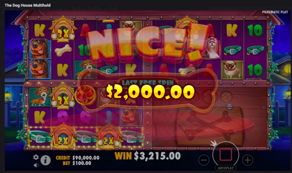 The Dog House Multihold mega win