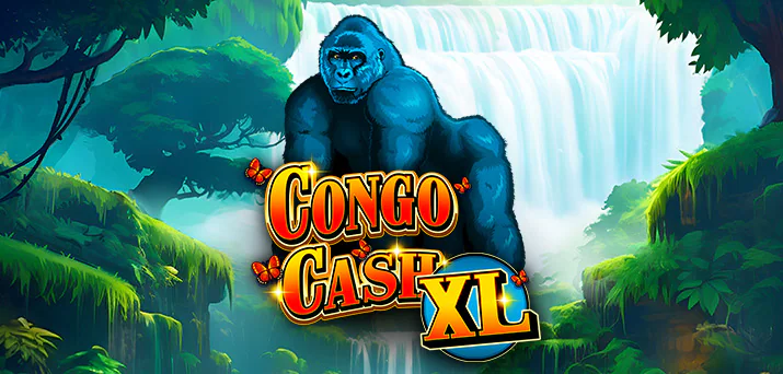 Congo Cash XL