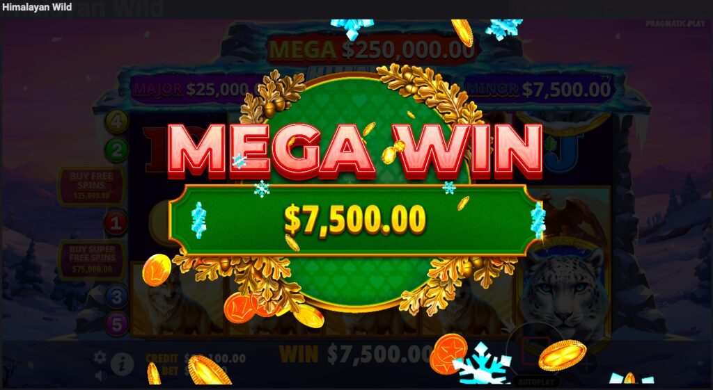 Himalayan Wild mega win