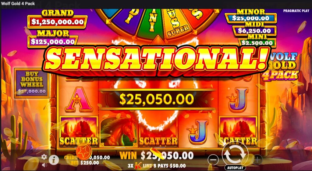 Wolf Gold 4 Pack sensational win