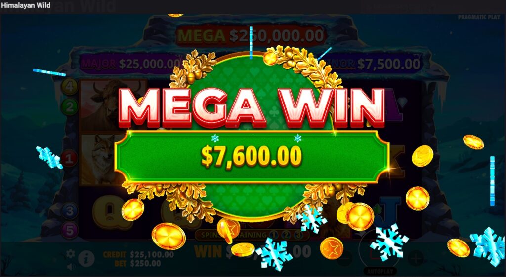 Himalayan Wild mega win 2